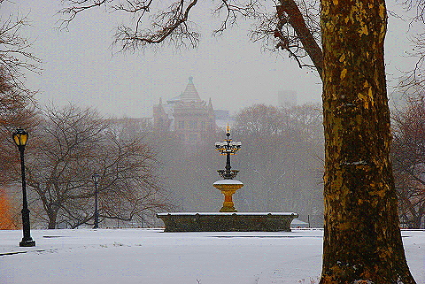 NY-Central_Park_in _the_Snow-22.JPG