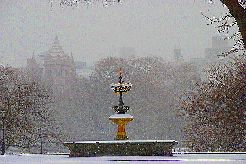 NY-Central_Park_in _the_Snow-23.JPG