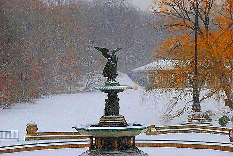 NY-Central_Park_in _the_Snow-24.JPG