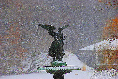 NY-Central_Park_in _the_Snow-25.JPG