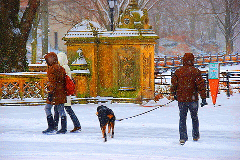 NY-Central_Park_in _the_Snow-26.JPG