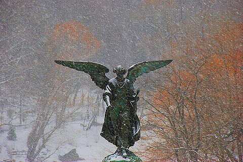 NY-Central_Park_in _the_Snow-27.JPG