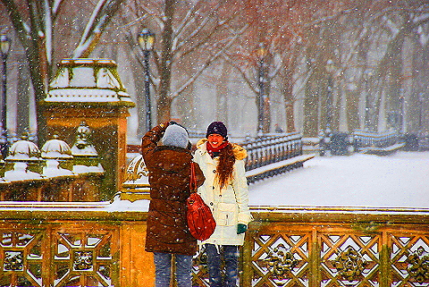 NY-Central_Park_in _the_Snow-28.JPG
