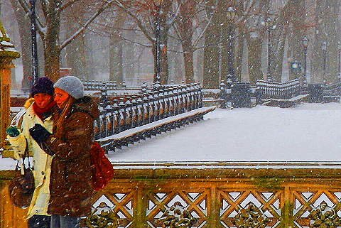 NY-Central_Park_in _the_Snow-29.JPG