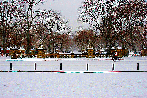 NY-Central_Park_in _the_Snow-30.JPG