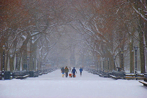 NY-Central_Park_in _the_Snow-31.JPG