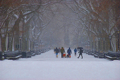NY-Central_Park_in _the_Snow-32.JPG
