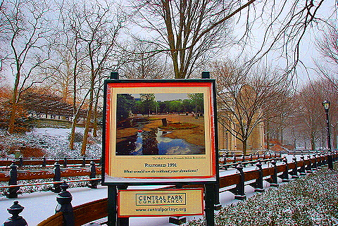 NY-Central_Park_in _the_Snow-33.JPG
