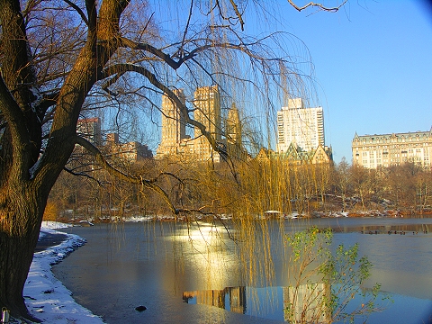 NY- Central Park in the snow-Angel_and_Duck_Pond03.JPG