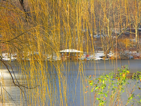 NY- Central Park in the snow-Angel_and_Duck_Pond04.JPG