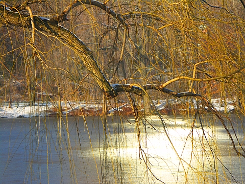NY- Central Park in the snow-Angel_and_Duck_Pond05.JPG