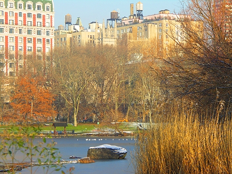 NY- Central Park in the snow-Angel_and_Duck_Pond06.JPG