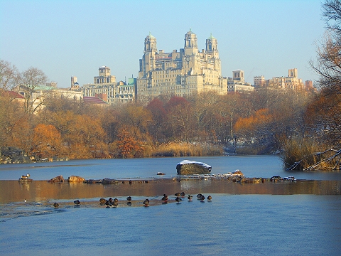 NY- Central Park in the snow-Angel_and_Duck_Pond07.JPG