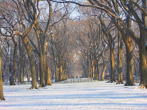 NY-Central_Park_in_the_snow-Poets_Walk-02.JPG