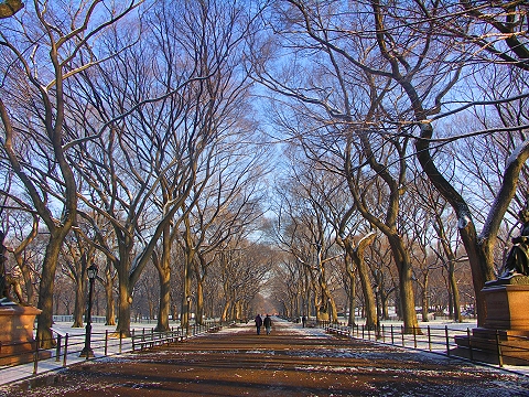 NY-Central_Park_in_the_snow-Poets_Walk-04.JPG