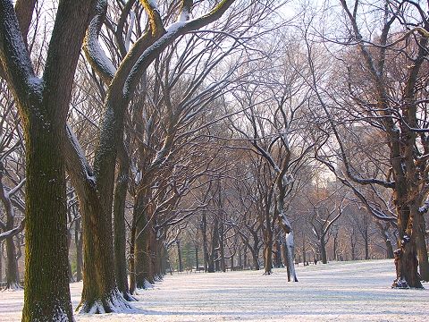NY-Central_Park_in_the_snow-Poets_Walk-06.JPG