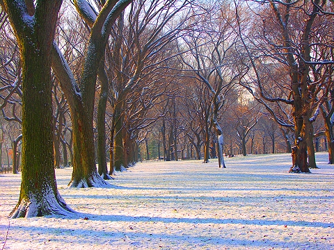NY-Central_Park_in_the_snow-Poets_Walk-07.JPG
