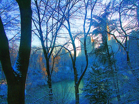 NY-Central_Park-January_Snow-02.JPG