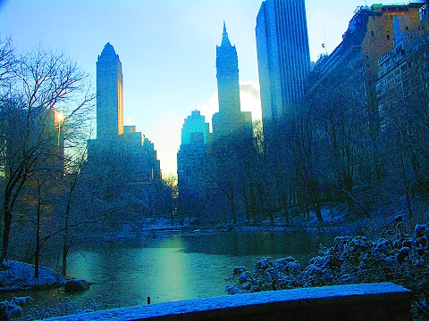 NY-Central_Park-January_Snow-03.JPG