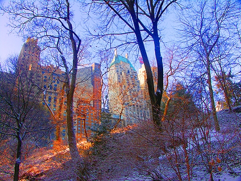 NY-Central_Park-January_Snow-04.JPG