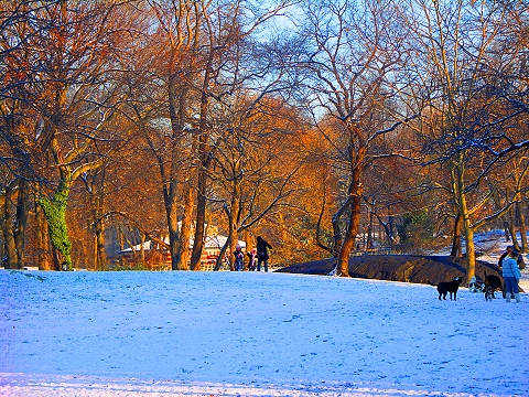NY-Central_Park-January_Snow-05.JPG