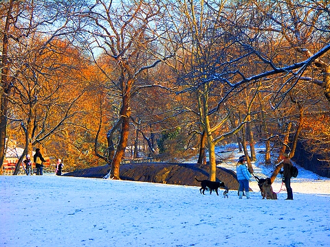 NY-Central_Park-January_Snow-06.JPG