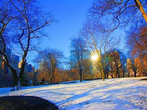 NY-Central_Park-January_Snow-07.JPG