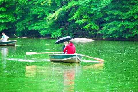 NY-Central_Park-People_Watching_on_a_Rainy_day-05.JPG