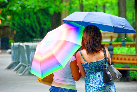 NY-Central_Park-People_Watching_on_a_Rainy_day-11.JPG