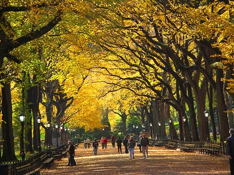 NY- Central_Park-Poets_Walk-Autumn_2006-02.jpg