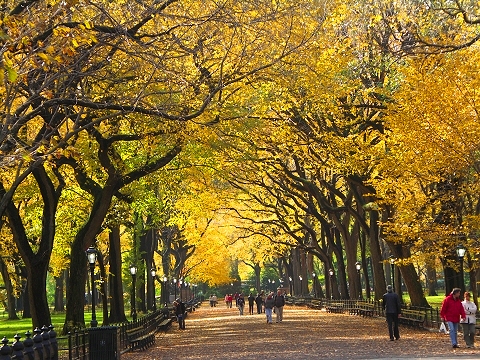 NY- Central_Park-Poets_Walk-Autumn_2006-03.jpg