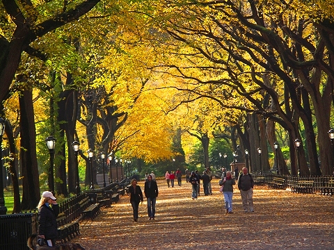NY- Central_Park-Poets_Walk-Autumn_2006-04.jpg