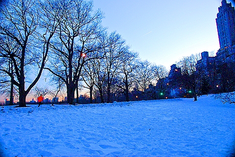 NY-Central_Park_Reservoir-City_Skyline-Joggers-01.JPG