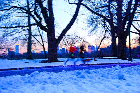 NY-Central_Park_Reservoir-City_Skyline-Joggers-02.JPG