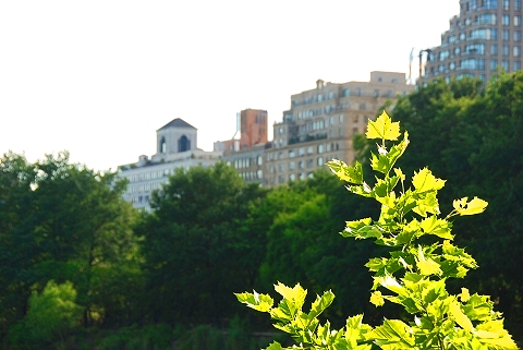 NY-Central_Park_Resevoir_Joggers-04.JPG
