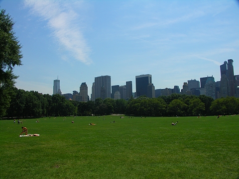 NY-Central_Park-Sheeps_Meadow-Sunbathing-01.JPG