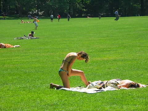 NY-Central_Park-Sheeps_Meadow-Sunbathing-02.JPG