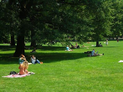 NY-Central_Park-Sheeps_Meadow-Sunbathing-04.JPG