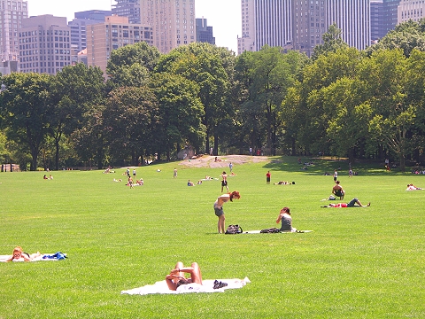 NY-Central_Park-Sheeps_Meadow-Sunbathing-05.JPG