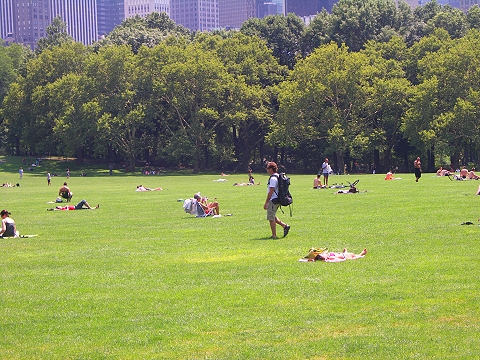 NY-Central_Park-Sheeps_Meadow-Sunbathing-06.JPG