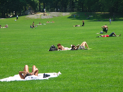 NY-Central_Park-Sheeps_Meadow-Sunbathing-07.JPG