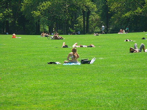 NY-Central_Park-Sheeps_Meadow-Sunbathing-08.JPG