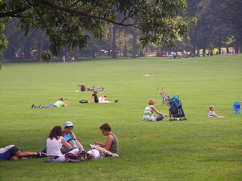 NY-Central_Park-Sheeps_Meadow-Sunbathing-10.JPG