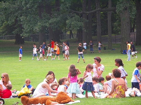 NY-Central_Park-Sheeps_Meadow-Sunbathing-11.JPG