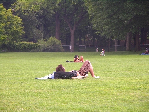 NY-Central_Park-Sheeps_Meadow-Sunbathing-13.JPG