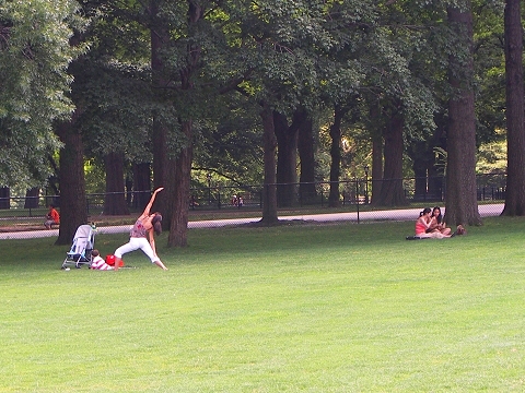NY-Central_Park-Sheeps_Meadow-Sunbathing-14.JPG