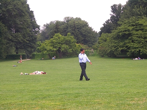NY-Central_Park-Sheeps_Meadow-Sunbathing-15.JPG