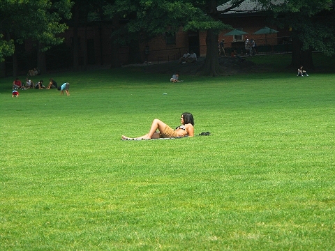 NY-Central_Park-Sheeps_Meadow-Sunbathing-16.JPG