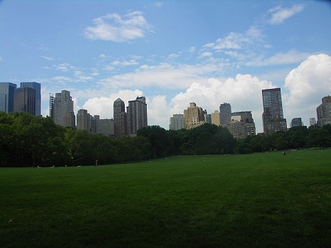 NY-Central_Park-Sheeps_Meadow-Sunbathing-17.JPG
