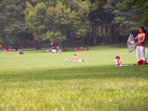 NY-Central_Park-Sheeps_Meadow-Sunbathing-18.JPG